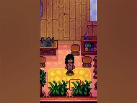 clothing stardew|stardew valley bikini.